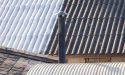 image_20835